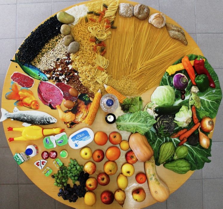 Alimentação e estilos de vida saudávei