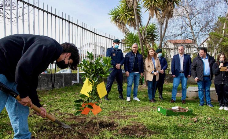 Dia Mundial da Árvore &amp; Dia Mundial da Poesia - 21/MARÇO