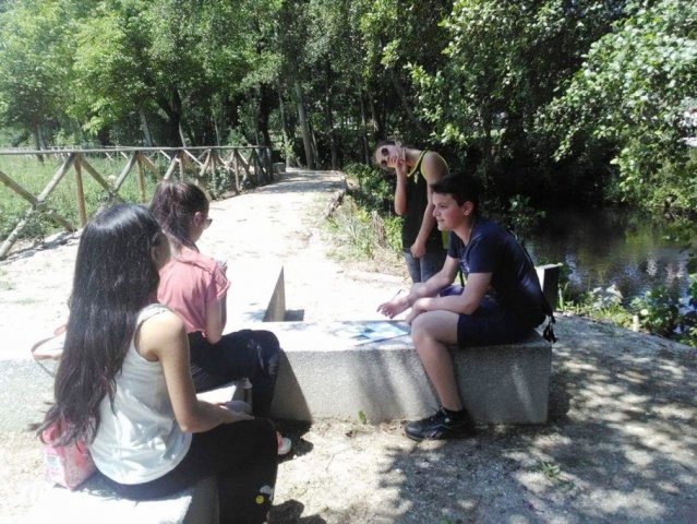 Pedipaper de Cepães