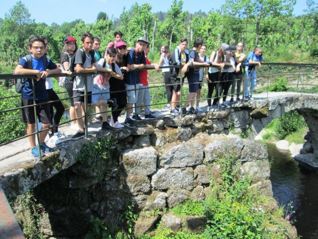 Pedipaper de Cepães