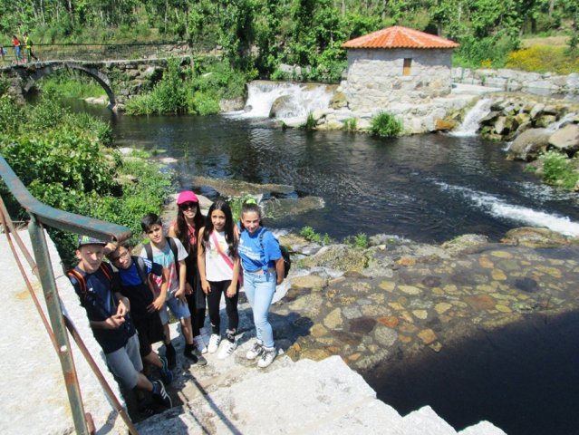 Pedipaper de Cepães