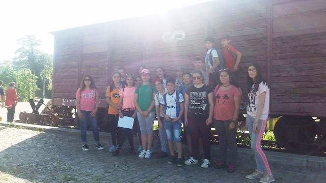 Pedipaper de Cepães