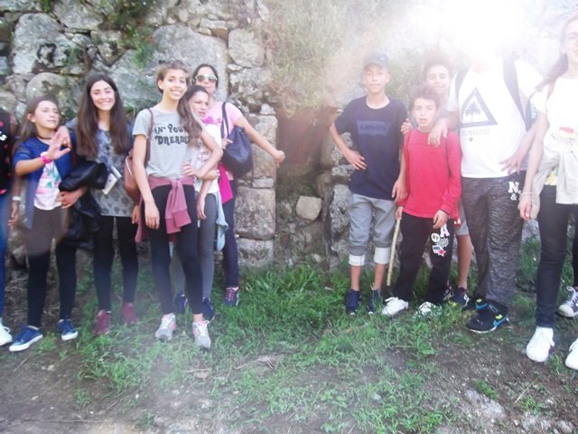 Pedipaper de Cepães