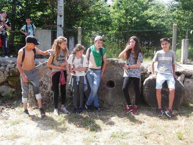 Pedipaper de Cepães