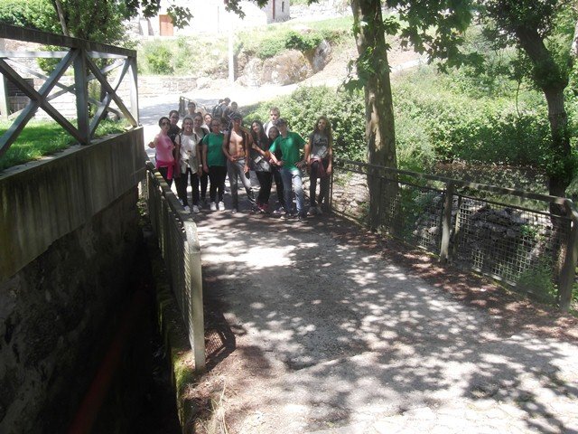 Pedipaper de Cepães