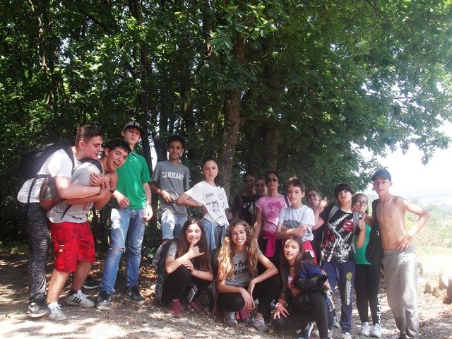 Pedipaper de Cepães