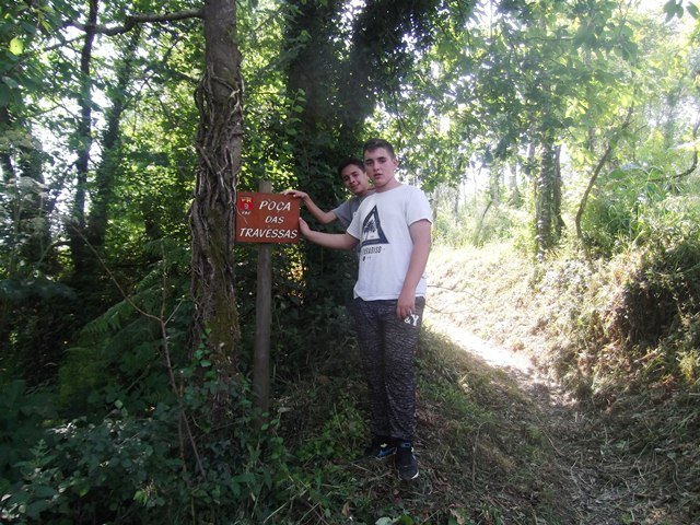 Pedipaper de Cepães