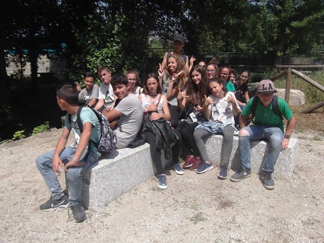 Pedipaper de Cepães