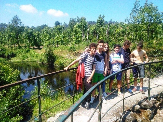 Pedipaper de Cepães