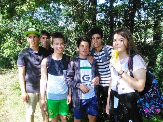 Pedipaper de Cepães