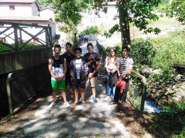 Pedipaper de Cepães