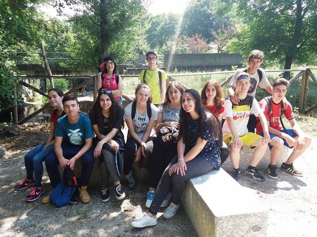 Pedipaper de Cepães