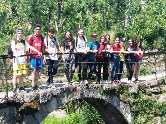 Pedipaper de Cepães