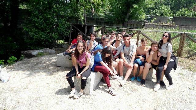 Pedipaper de Cepães