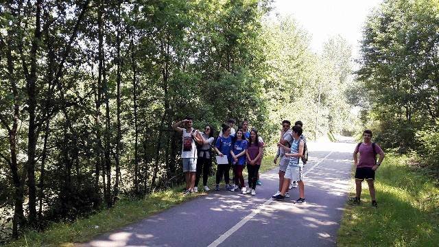 Pedipaper de Cepães