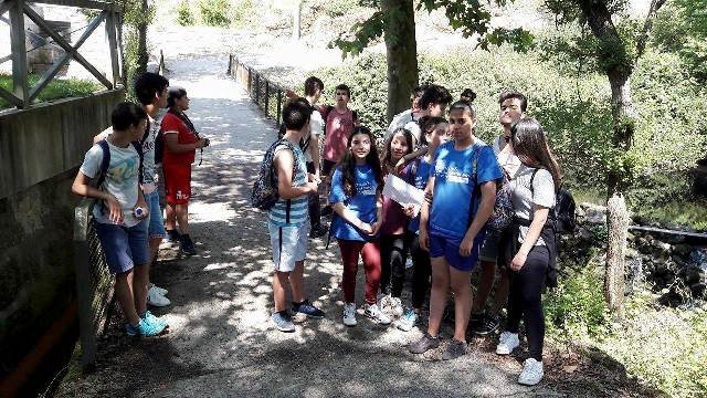 Pedipaper de Cepães